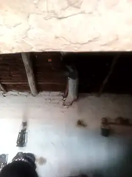 Snapshot of Sheema_tyagi chatting on October 21, 7:31 am Sheema tyagi online show from October 21, 7:31 am