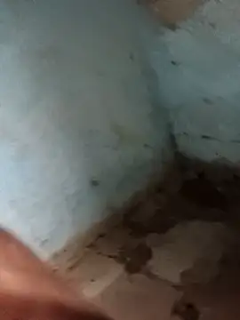 Snapshot of Sheema_tyagi chatting on November 11, 7:47 pm Sheema tyagi online show from November 11, 7:47 pm