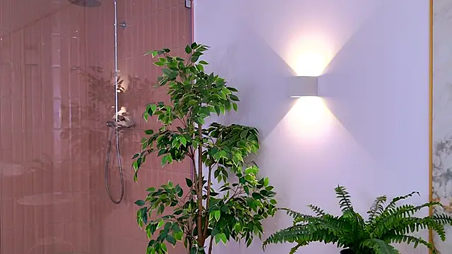 AmadaReine online show from November 14, 3:55 pm