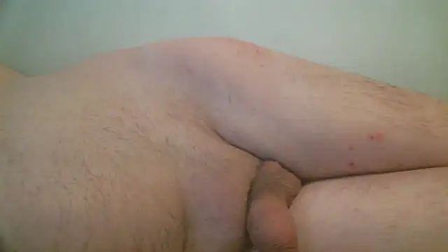 Snapshot of pedro190765 chatting on November 19, 3:56 pm pedro190765 online show from November 19, 3:56 pm