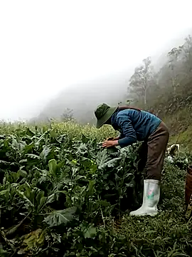 ngan-cute online show from March 12, 4:07 am