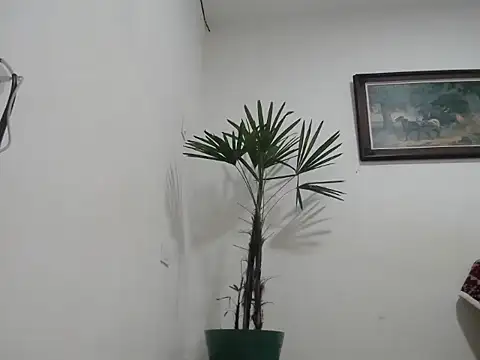 Young handsome online show from September 11, 1:28 am