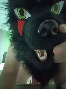 Wolf Okami SP online show from July 21, 2:30 pm