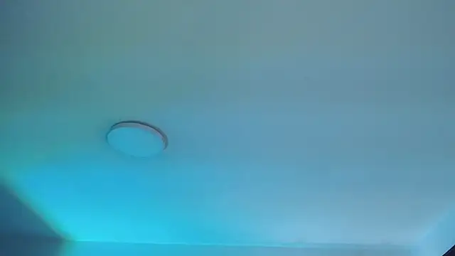  Charlotte Collins  online show from April 10, 2:22 pm