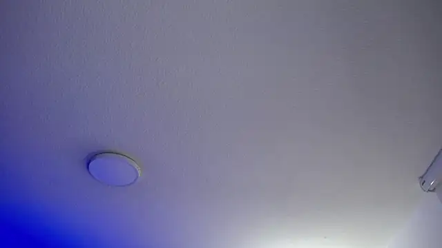  Charlotte Collins  online show from May 20, 3:18 pm