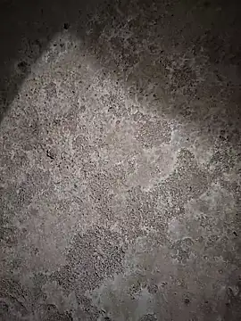 sexy  girls98 online show from February 6, 11:46 am