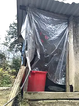 liu-liusexy online show from January 19, 8:18 am