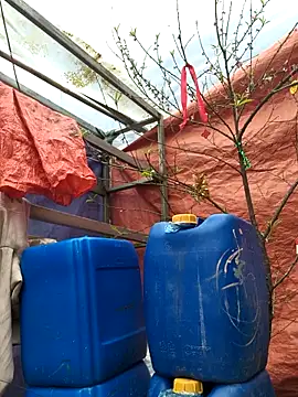 liu-liusexy online show from February 19, 8:21 am