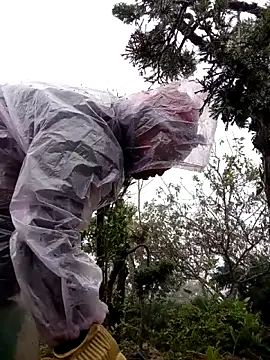 Snapshot of tcm-cute chatting on November 3, 8:04 am tcm-cute online show from November 3, 8:04 am