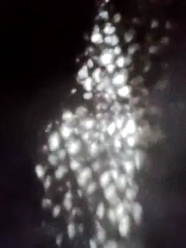 Perropa online show from January 18, 5:28 pm