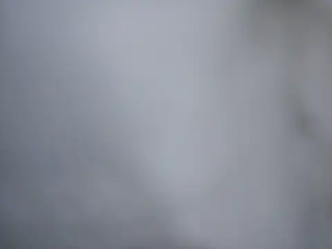 Ricotta1 online show from December 22, 7:49 am