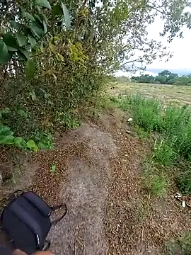 magraocam online show from November 6, 4:08 pm