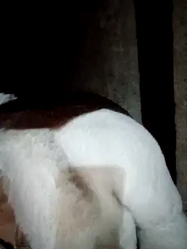 Phuong xxx online show from February 12, 11:49 am