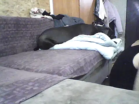 Snapshot of Milana38 chatting on October 7, 9:50 am Milana38 online show from October 7, 9:50 am