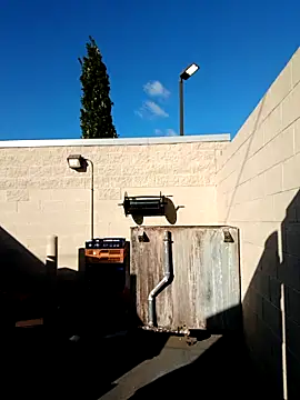 Dropdingo online show from October 19, 2:07 pm