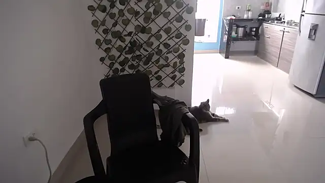 yohacriss online show from December 16, 8:36 pm