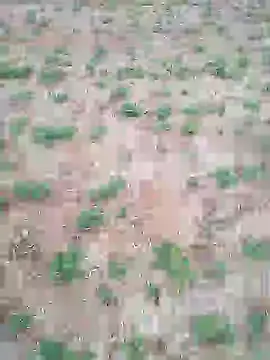 Snapshot of Susila_ji chatting on July 17, 1:07 pm Susila ji online show from July 17, 1:07 pm