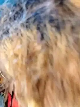 hemilynthomas2467 online show from February 1, 7:23 pm