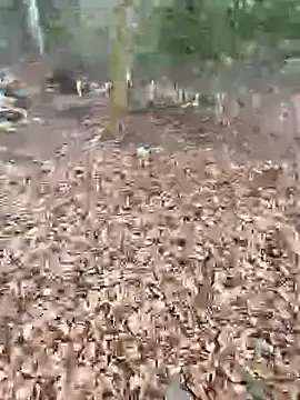 andymatthisbwc online show from February 25, 2:59 pm