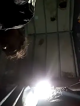 Snapshot of hairy_mannn chatting on November 29, 6:05 am hairy mannn online show from November 29, 6:05 am