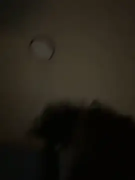 Snapshot of bunbun420247 chatting on December 5, 11:30 am bunbun420247 online show from December 5, 11:30 am