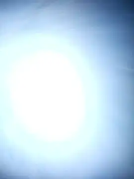 Snapshot of chinoaf chatting on December 18, 9:59 am chinoaf online show from December 18, 9:59 am