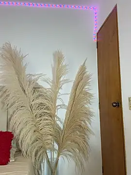 liaarous  online show from March 10, 2:27 am