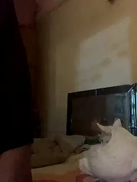 Snapshot of Kajal-Shemale69 chatting on November 17, 7:36 am Kajal-Shemale69 online show from November 17, 7:36 am