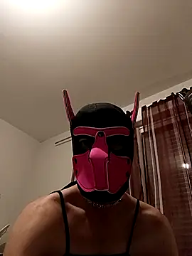 Snapshot of Puppydog33 chatting on October 29, 8:54 pm Puppydog33 online show from October 29, 8:54 pm