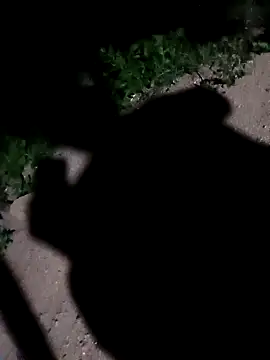 Sapna cutt online show from September 10, 11:49 pm