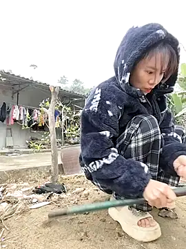 Tin tanny online show from January 8, 12:46 am