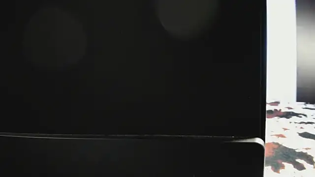 Dana  Whitttte online show from November 9, 1:31 pm