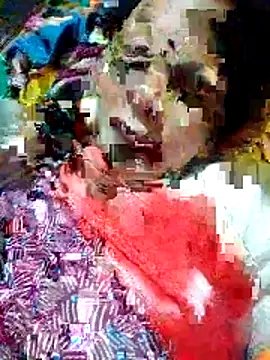 H seema online show from February 4, 1:33 am