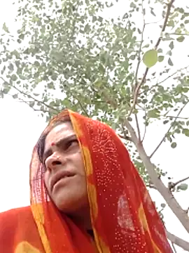 H seema online show from April 7, 7:42 am