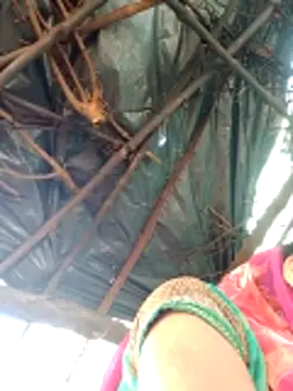 H seema online show from April 12, 2:27 am