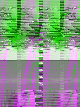 couple2612 online show from October 7, 9:39 am