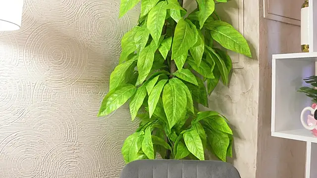 Snapshot of MarlinVarian chatting on September 9, 6:13 am MarlinVarian online show from September 9, 6:13 am