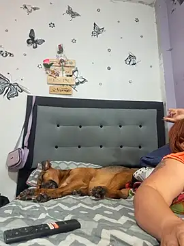 anythompsom online show from November 11, 8:20 pm