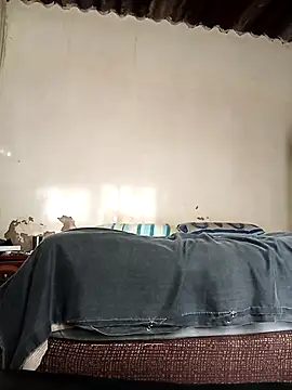 Snapshot of average_price chatting on October 8, 4:21 am average price online show from October 8, 4:21 am