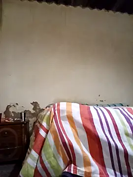 Snapshot of average_price chatting on November 12, 4:13 am average price online show from November 12, 4:13 am