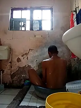 Snapshot of average_price chatting on November 28, 4:37 am average price online show from November 28, 4:37 am