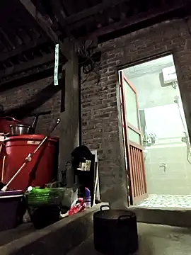 siki-00 online show from February 8, 2:20 pm