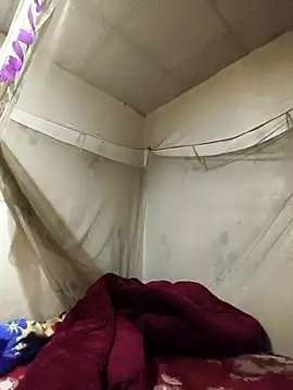 siki-00 online show from February 15, 8:13 am