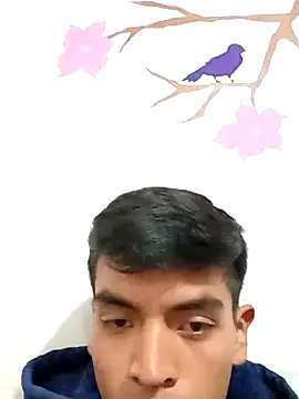 DavidVergagigante420 online show from November 5, 7:36 pm