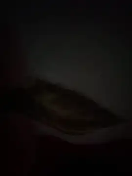 Flash356 online show from February 24, 9:13 pm