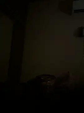 Chaitu-teluguhot online show from December 16, 10:04 pm