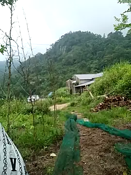 keobong-00 online show from September 14, 2:44 am