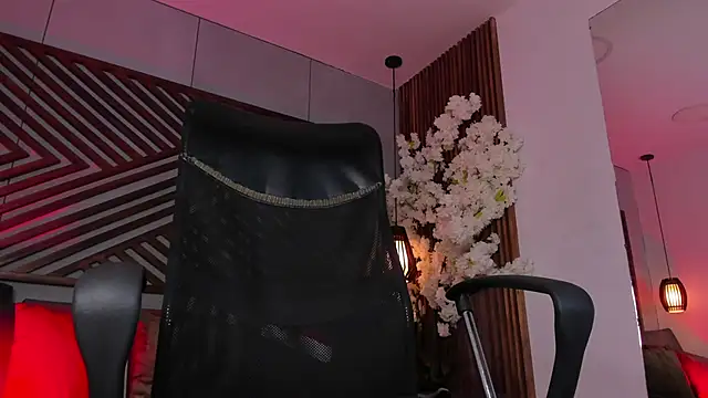 B Wild online show from December 17, 3:56 am