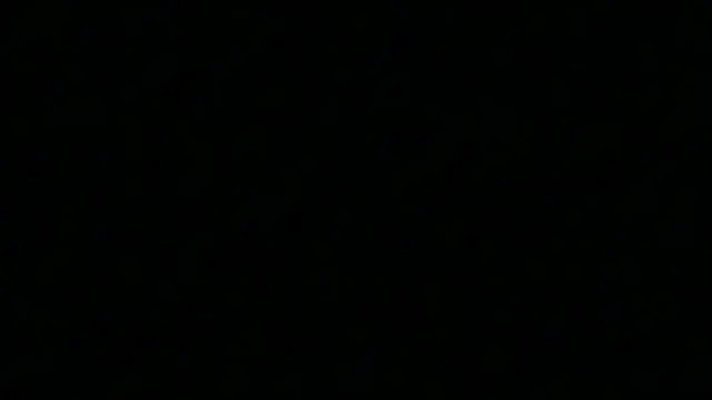 Snapshot of Pyrelissa chatting on December 4, 6:34 am Pyrelissa online show from December 4, 6:34 am