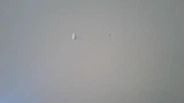 abimusic99 online show from February 25, 7:45 pm